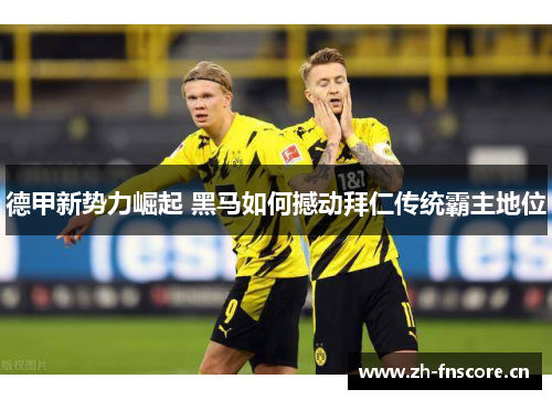 德甲新势力崛起 黑马如何撼动拜仁传统霸主地位